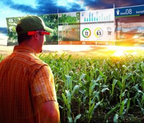 5 инновационный технологий для сельского хозяйства