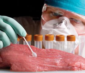 Еда из будущего: революция в производстве мяса